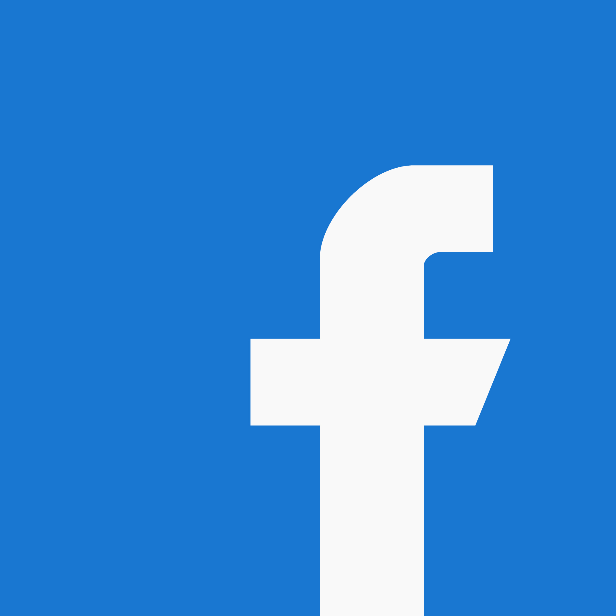 Facebook Perla ONG